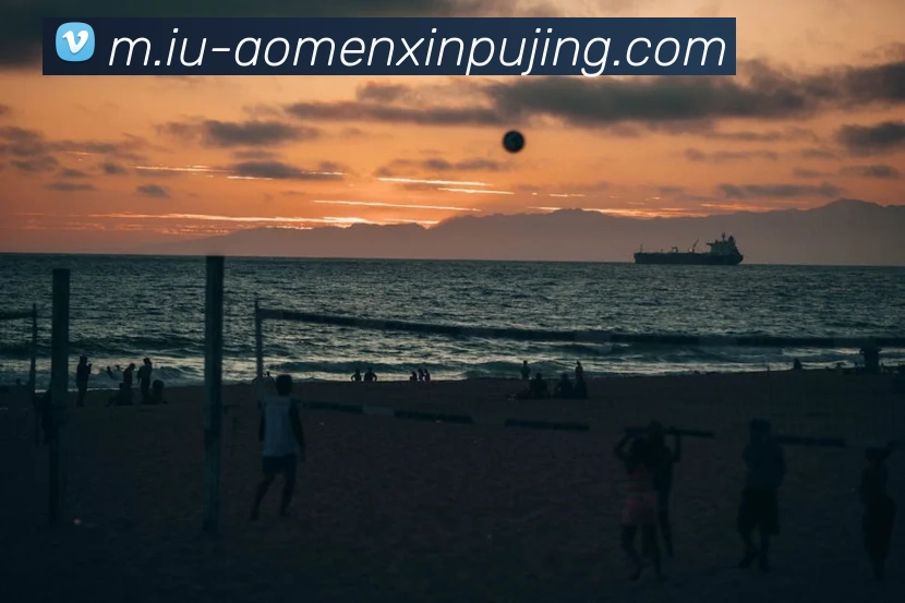 澳门新葡京娱乐服务体系